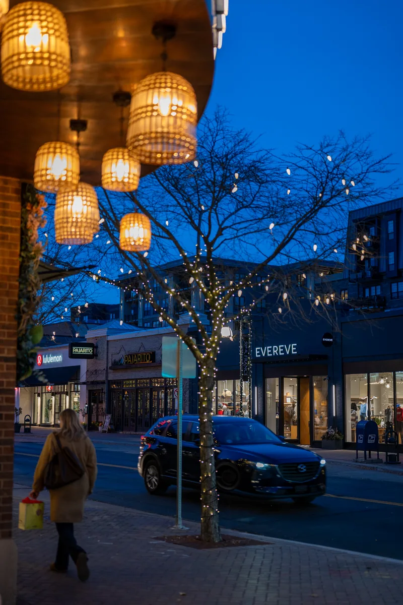 Tree-lined pedestrian streetscape of 50th and France district in Edina