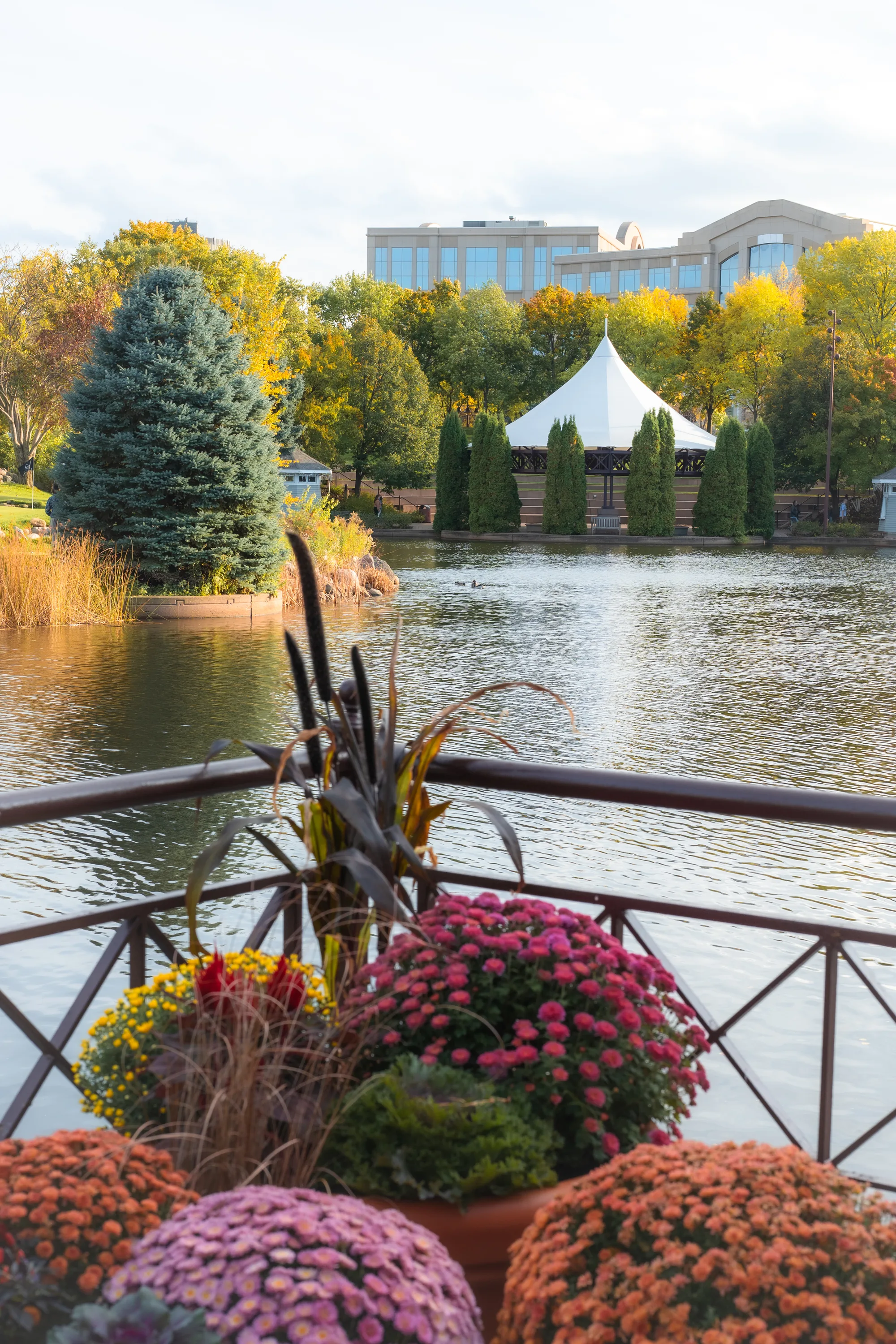 Scenic outdoor greenery and park path in Edina, Minnesota