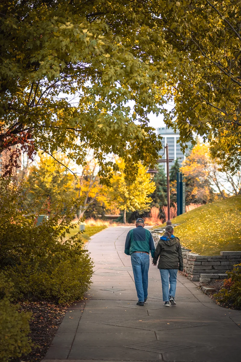 Autumn streetscape and outdoor scene in Edina near 50th and France