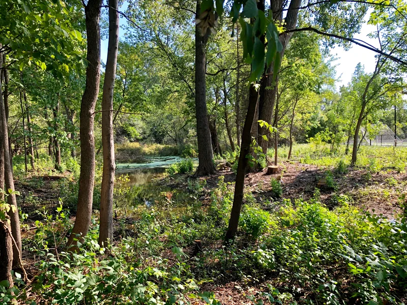 Nine Mile Creek Regional Trail in Edina