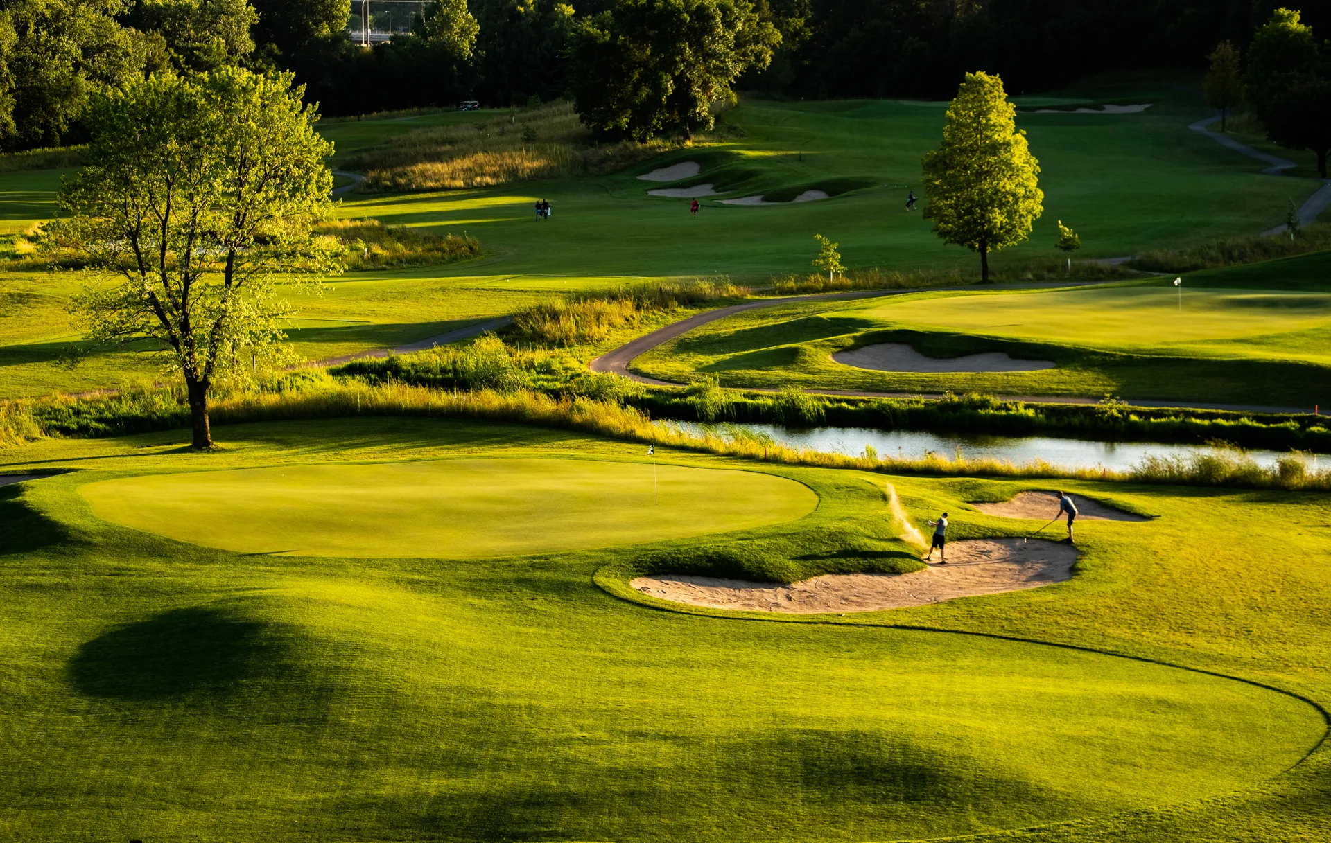 Golf course fairway in Edina