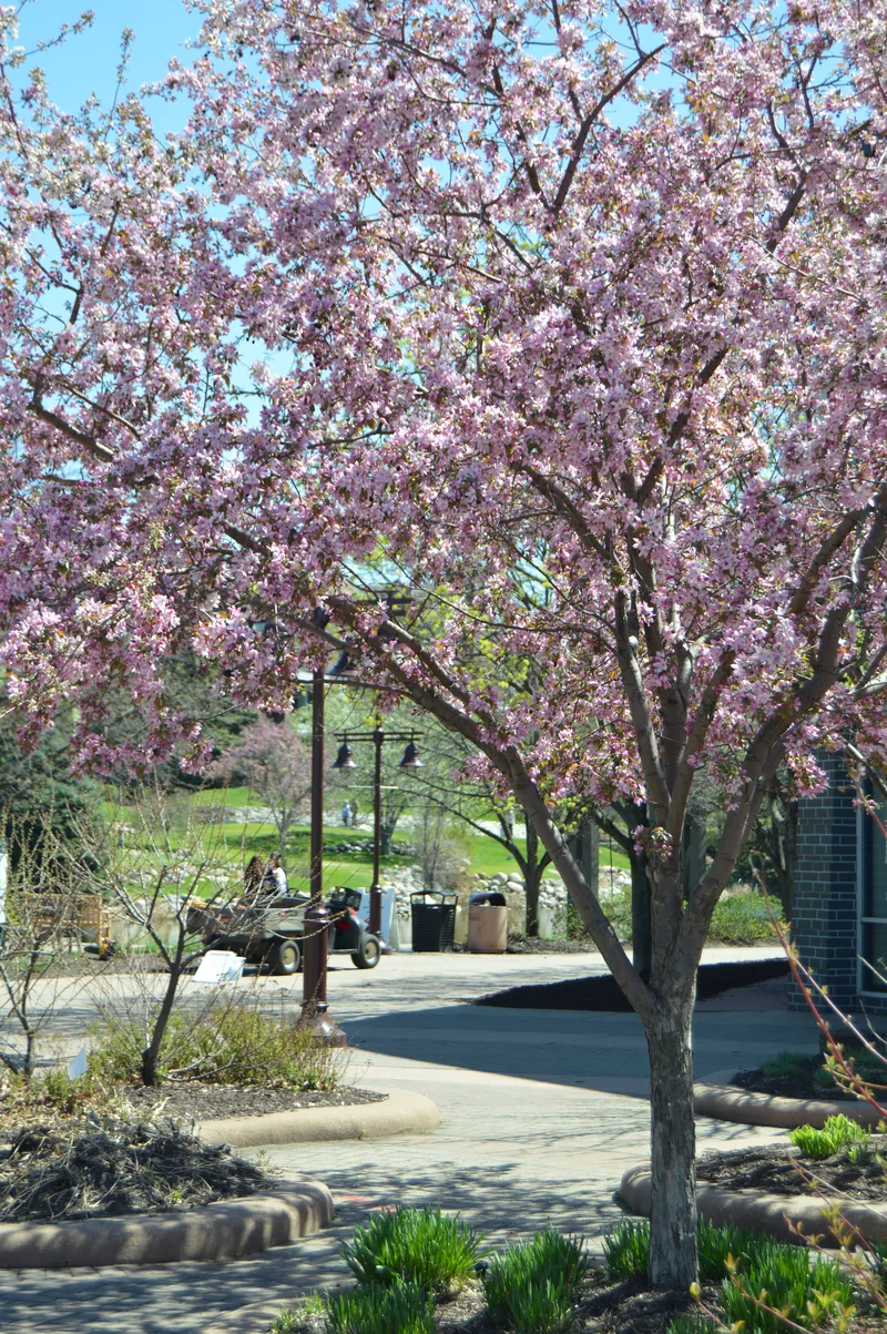 The lakeside path at Centennial Lakes Park in Edina