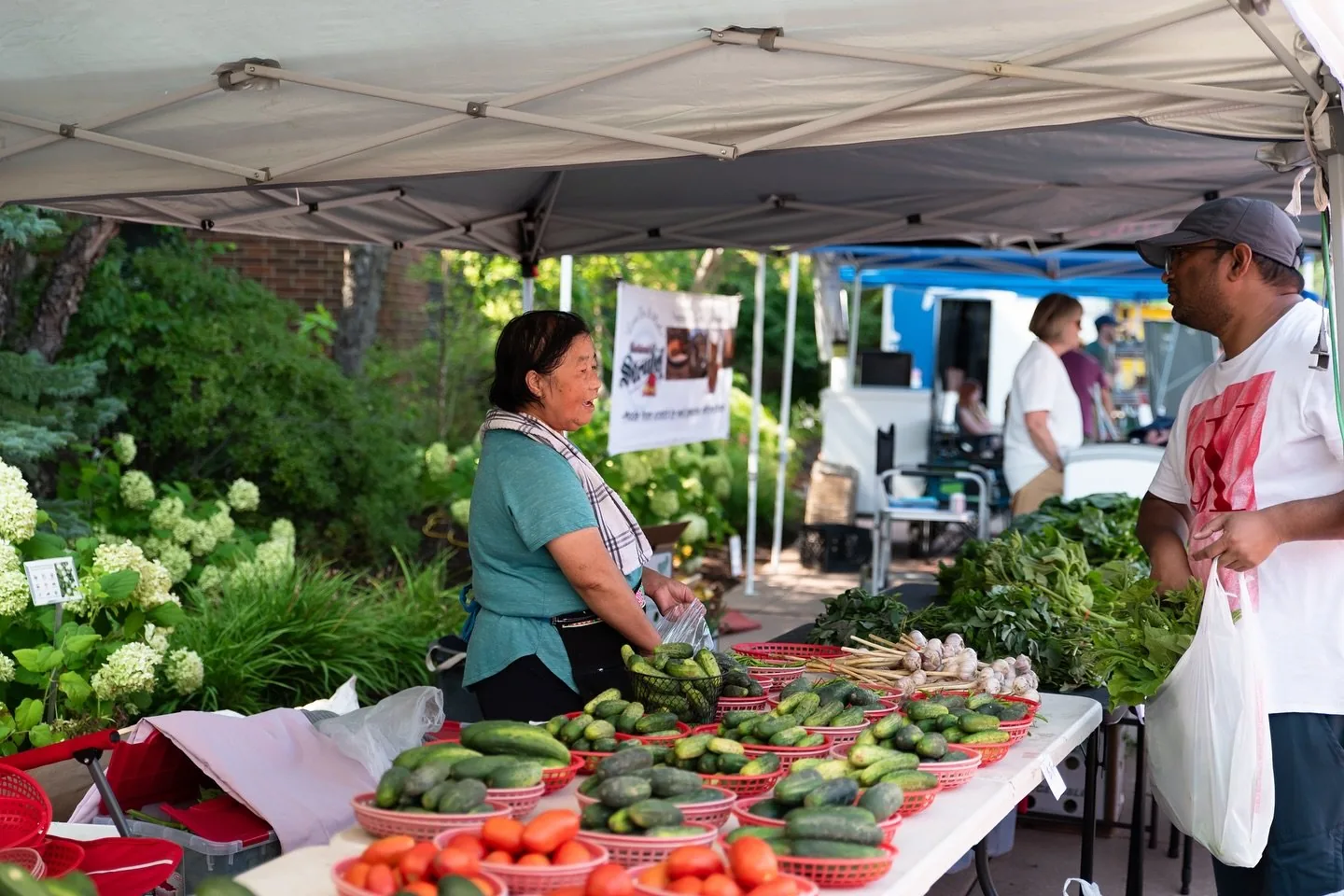 10 of Edina’s Top Summer Events