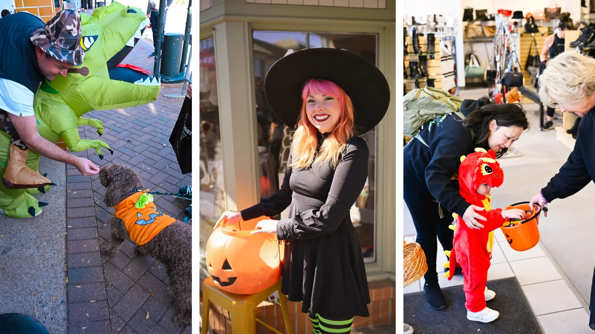 Spooky Season in Edina: Halloween Happenings & Family Fun