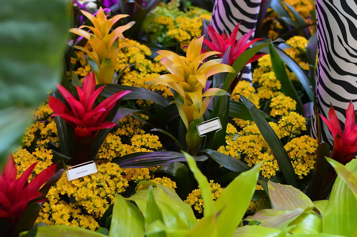 Step into Paradise: Galleria’s Spring Escape