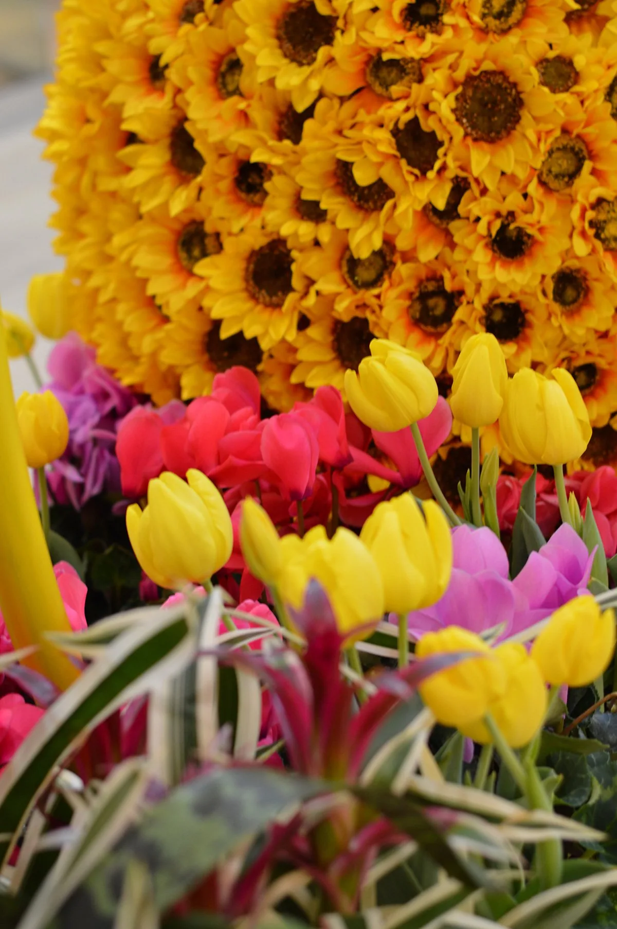 Step into Paradise: Galleria’s Spring Escape