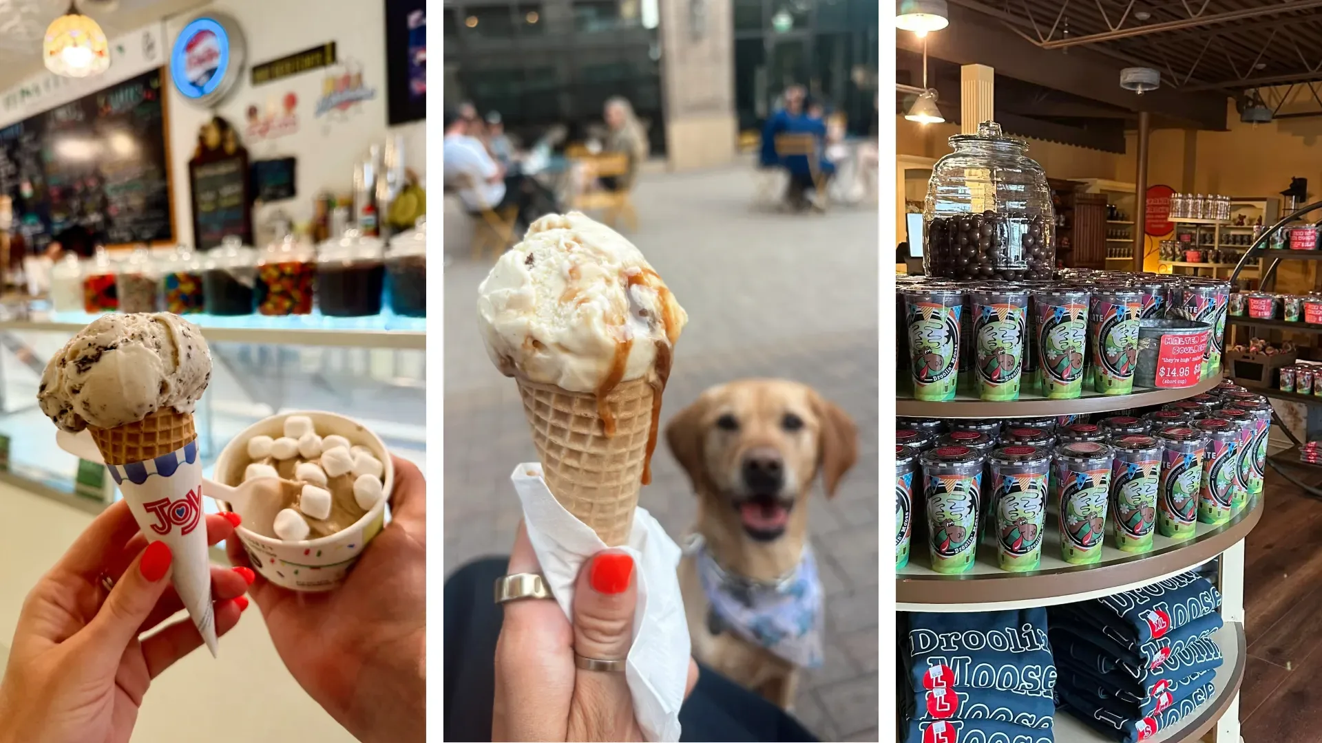 Summer Starts Here: Adventures for Kids of All Ages in Edina