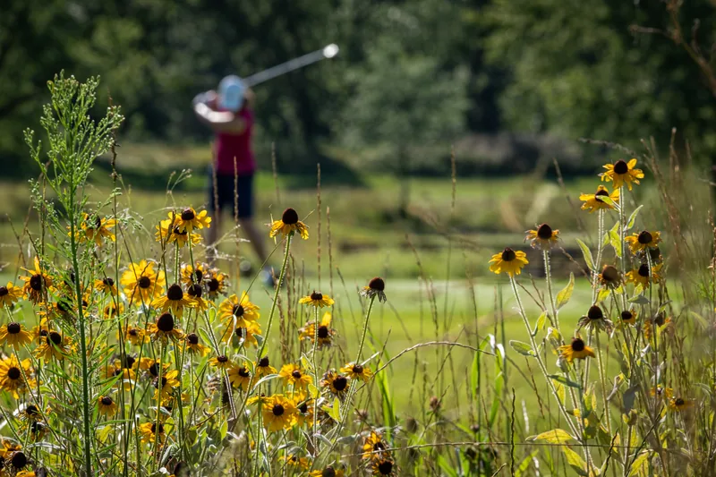 Golf practice facilities at Braemar